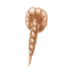 Blond 20
