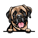 Light Brown Animal-Dog-Mastiff-8ujjnyrzz-Color-Peeking