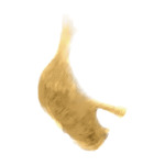yellow B51-(14)
