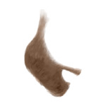 light brown B51-(9)
