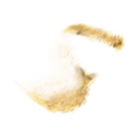 yellow B52-(14)