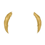Blonde Balding---Blonde