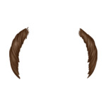 Brown Balding---Brown