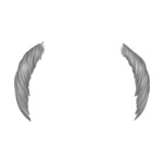 Gray Balding---Gray