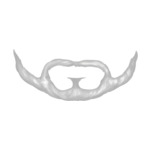 Beard---Gray