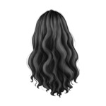 Black Curl_1-4