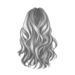 Gray Curl_6-10