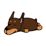 Brown Doberman1