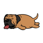 Brown English-Bulldog