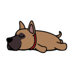 Brown Great-Dane-3