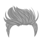 Gray Mohawk