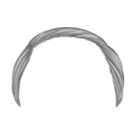 Gray Old---Gray