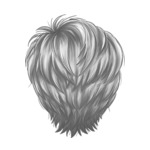 Gray Pixie_1-8