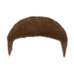 Brown Short---Brown