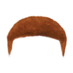 Ginger Short---Ginger