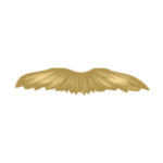 beard-style-2-(12)