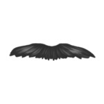 beard-style-2-(7)
