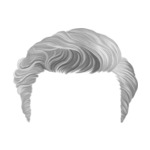 Gray hair-9-(11)