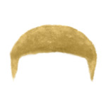 Blonde men-hair-5-5